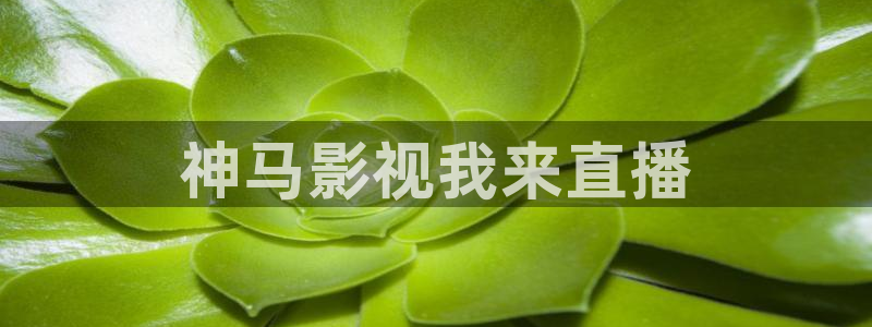 四虎最新影院观看