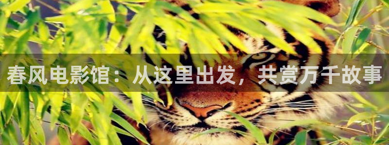 四虎影视原网址