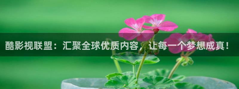 四虎影音永久入口