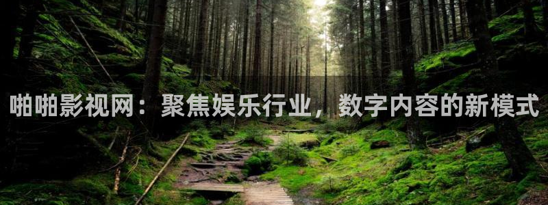 36tv四虎影院
