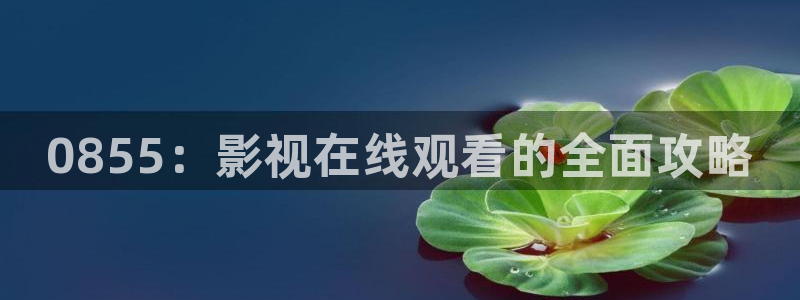 四虎tv影视