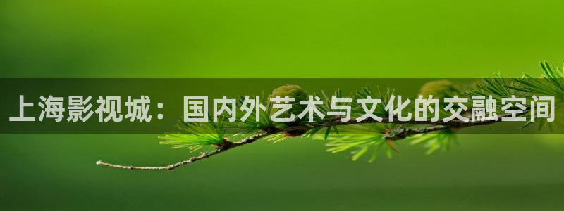 四虎影院免费网址2018