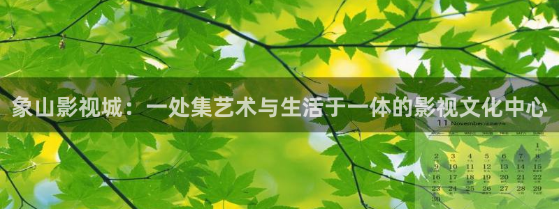 四虎私人影视