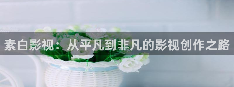 四虎影视,在线影院
